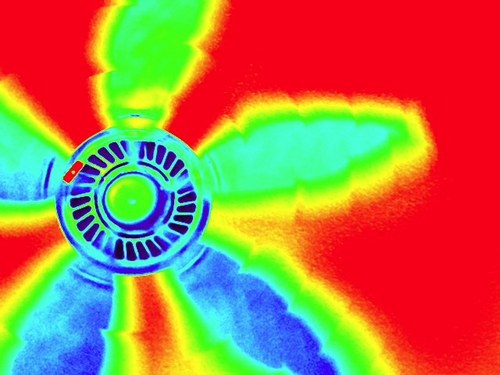 safan21's profile picture. life is good and the answer is always love! - family, friends, gratitude, Irish wolfhounds, history, Ireland, the Beatles, Van Morrison, the Spurs