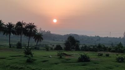 sworker165's profile picture. Social Worker