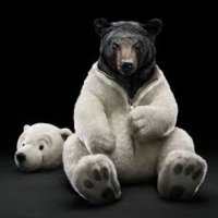 bear wizard (@bearwizardone) 's Twitter Profile