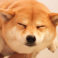 Hachi (@hachizzz) 's Twitter Profile Photo Hachi (@hachizzz) 's Twitter Profile Photo