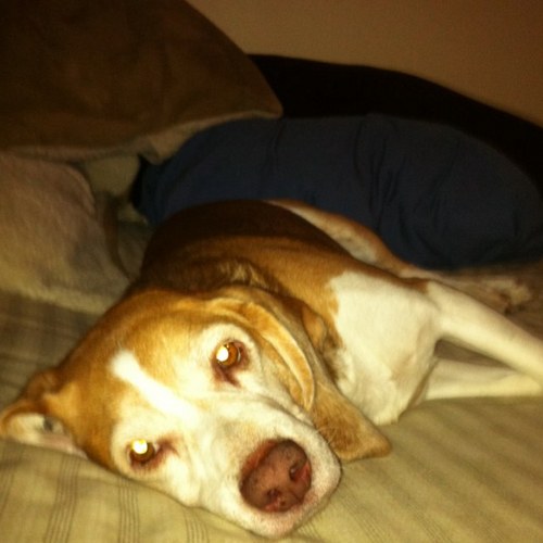 Holdzy85's profile picture. music, work, books, life