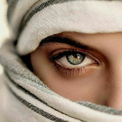 Optinuz's profile picture. Entrepreneur l E-commerce l Mindset