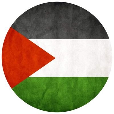 A Palestinian news platform to convey the truth of the first Powell

Women for Palestine Center - Gaza (backup account)
