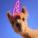 llamacorneth Profile Picture