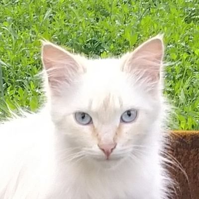 FARMER5685's profile picture. 