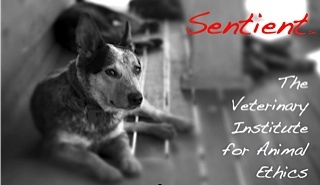 “Sentient, The Veterinary Institute for Animal Ethics”. 
Applying scientific theory within an ethical framework to further the animal protection movement.