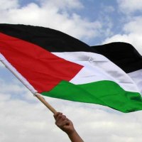 🇵🇸Fadi Mesleh (@fadi_mesleh) 's Twitter Profile