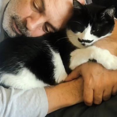 erdemkirim's profile picture. ⭐️⭐️⭐️⭐️⭐️🦁