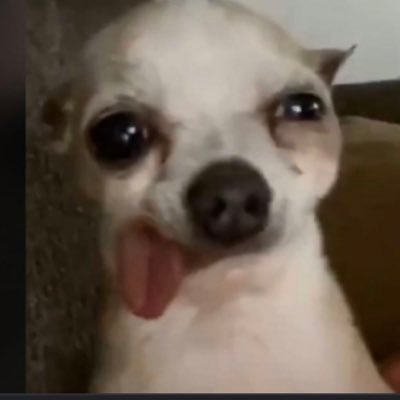 emialgarra's profile picture. 