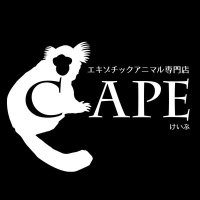 CAPE (@_exoticanimal) 's Twitter Profile Photo CAPE (@_exoticanimal) 's Twitter Profile Photo