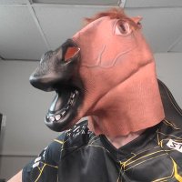 Flip (@flipp0p0tamus) 's Twitter Profile Photo Flip (@flipp0p0tamus) 's Twitter Profile Photo