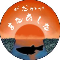 めだかや またあした (@mataashita_me) 's Twitter Profile