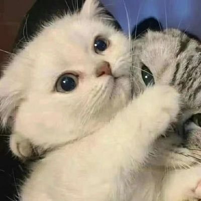 f00ing's profile picture. f0ing