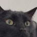 Aytio (@aytiogames) Twitter profile photo Aytio (@aytiogames) Twitter profile photo