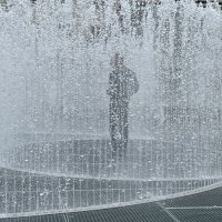 Henrik Österblom (@henrikosterblom) 's Twitter Profile