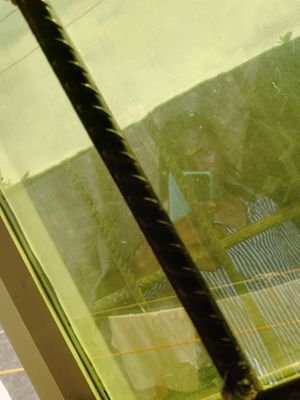 SundayFaremi1's profile picture. #fitoam #fisi