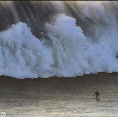 camarones69's profile picture. Don't even get me started...