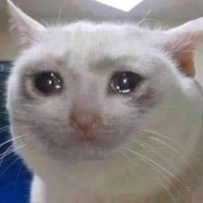 muyu89096788's profile picture. 