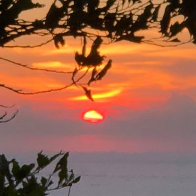 xhxxhl's profile picture. 