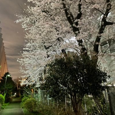 photo_we_chase's profile picture. 素敵な景色を共有 #写真好きな人と繋がりたい 無言フォロー失礼します