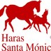Haras Santa Monica (@harasstamonica) Twitter profile photo Haras Santa Monica (@harasstamonica) Twitter profile photo