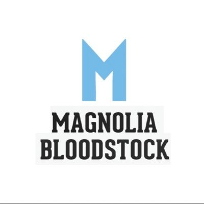 Magnolia Bloodstock, Racehorse Breeder and Transport. https://t.co/aDjWEJZ9nT  Lester Piggott, Teenoso, QPR, The Clash, Train in Vain. Cycling, NFL