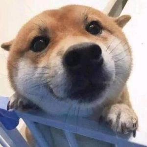 MiBao0529's profile picture. Home for stray animals.