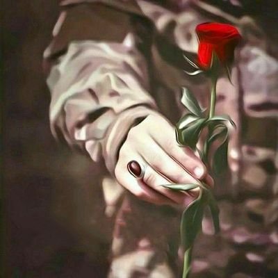 sarbazseffr's profile picture. 