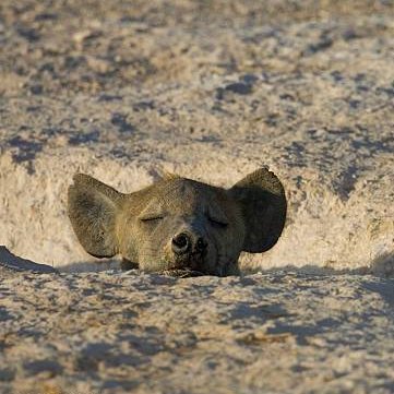 B0WDLCV7q8IL4kO's profile picture. 