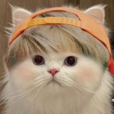 _medicagosativa's profile picture. • maaf jika sambatku mengganggumu🥲 • fangirling tweets sometimes, still trying to post fangirling contents only on the acc below🙏🏻