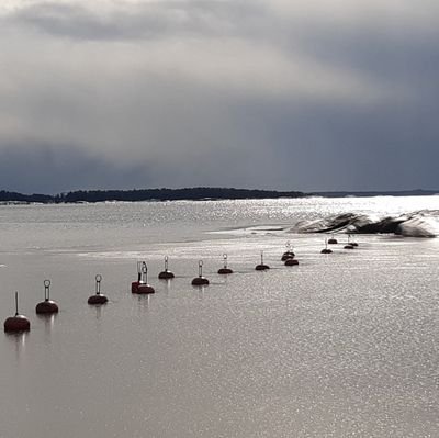 Toimitusjohtaja/yrittäjä. Vapaa-aikana saaristoelämästä nautiskelija.