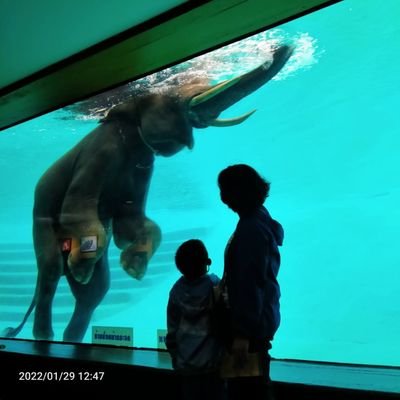 MyPook2's profile picture. 