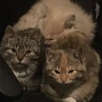 Bruce Awakened 🚜🇨🇦 (@bruceawakened) 's Twitter Profile Photo Bruce Awakened 🚜🇨🇦 (@bruceawakened) 's Twitter Profile Photo