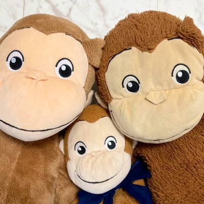【ジョージファミリーTV】YouTubeでクレーンゲームや大好きなおさるのジョージの動画を中心に配信しています。 チャンネル登録＆ご視聴お願い致します☆