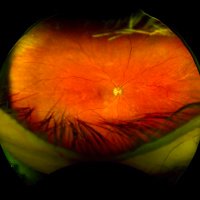 Steve Bloom (@stevebloomphoto) 's Twitter Profile
