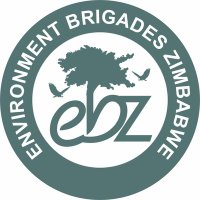 Environment Brigades Zimbabwe Trust (@envirobrigadezw) 's Twitter Profile