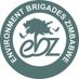 Environment Brigades Zimbabwe (@EnviroBrigadeZW) Twitter profile photo