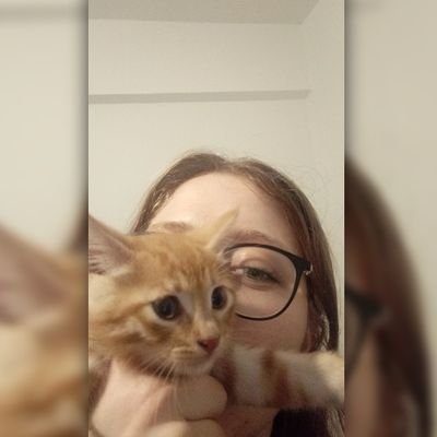 busegumss's profile picture. bomboş