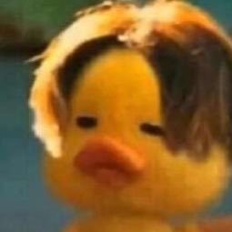 crycozz's profile picture. 