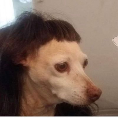 Arodasi22's profile picture. Não estou bem das ideias não