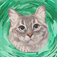 Kiki Beets (@beetskiki) 's Twitter Profile
