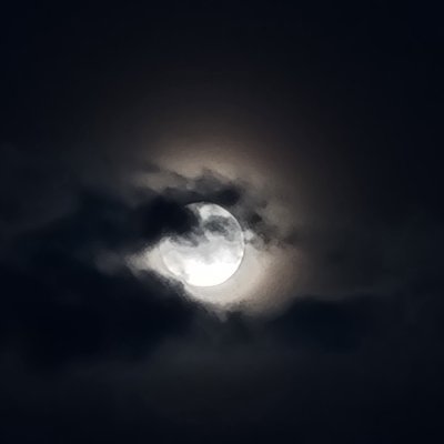 Courtney11_56's profile picture. 