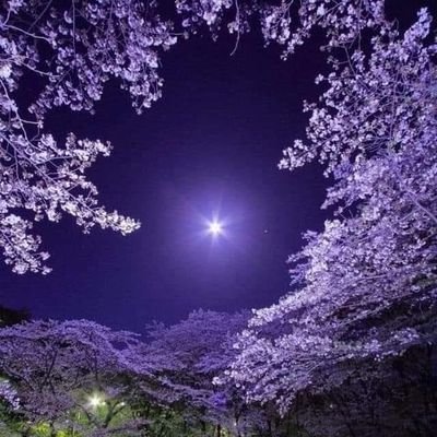 AlslwyRdwan's profile picture. رضوان الصلوي،اعمل في التربيه
،سددالله خطانا لما يحب ويرضاه