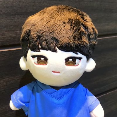 #WinterGarden Yoo Yeonseok & Shin Hyunbeen 20 cm dolls// 🚢🌎READY TO SHIP // Main account @ApotheShop // 🛍🛒⬇️