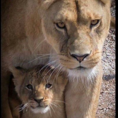 Marchy_s's profile picture. 