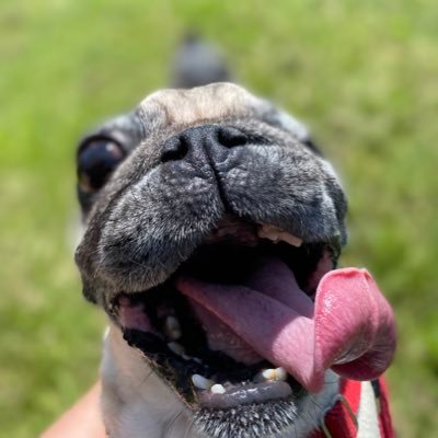 🐕🐈⬛🐁😷⚛️🇨🇦 Proudly woke, pro-environment, and atheist!