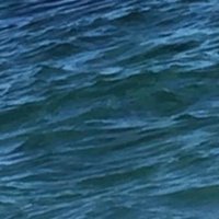 A (@landscapeamir) 's Twitter Profile