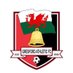 Gresford Athletic FC (@GresfordFC) Twitter profile photo