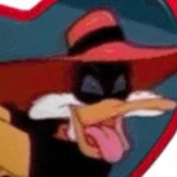 darkwing duck enthusiastさんのプロフィール画像