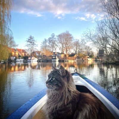 清清 ~ X 👧🏻🐈🐈⬛🍕☁️เดินตามความฝัน☀️🌻🌳แม่บอกว่าใครว่าเราอ้วน ให้กินคนนั้นเข้าไปด้วย😳chubby girl🌹🍰CU101 #PA🤴🏻#CFC⚽️ #RJ24 #KM10 #pluviophile #พิดพิด #PT